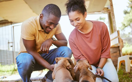 Love, black couple and playing with dogs at animal shelter or kennel. Care, support and happy interracial man and woman bonding with foster puppies and pets while thinking about adoption together