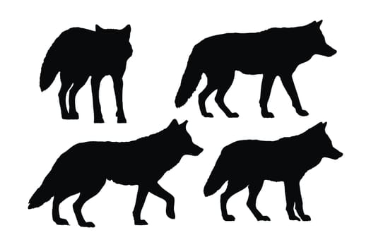 Coyote standing design on a white background. Wild coyote silhouette set vector. Coyote wolf silhouette bundle design. Carnivore animals walking in different positions silhouette collection.