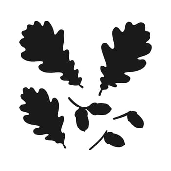 Set with silhouette oak leaf  and acorn. Hand drawn autumn vector illustration.
