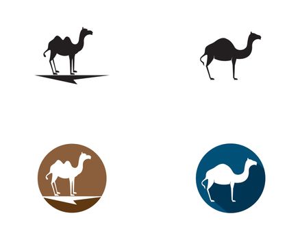 Camel logo template