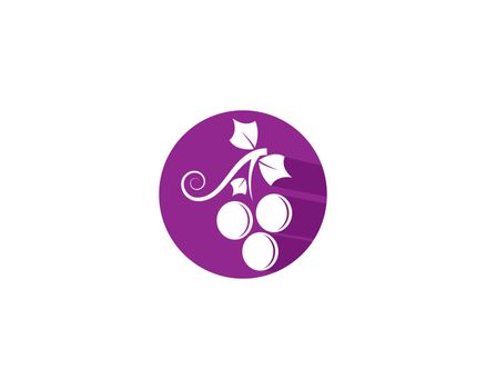 Grape logo template vector icon