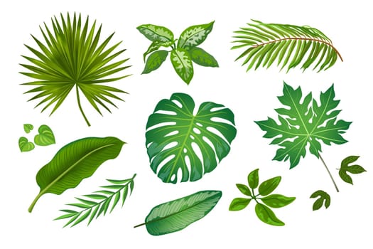 Tropic leaves in cartoon style illustration set