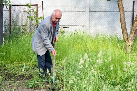 An elderly cheerful pensioner removes weeds in the garden with a hoe