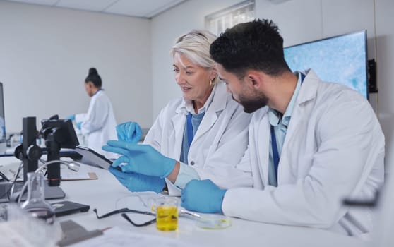 Communication, teamwork or scientist working on tablet in lab for medical search, innovation or science study in lab. Medicine or doctors assistant on tech for healthcare or wellness DNA research