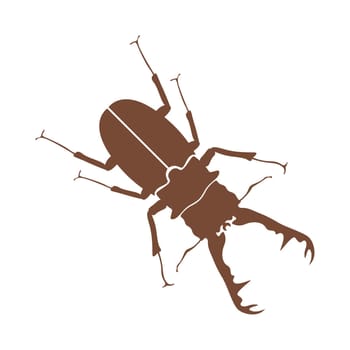 Beetle logo icon design
