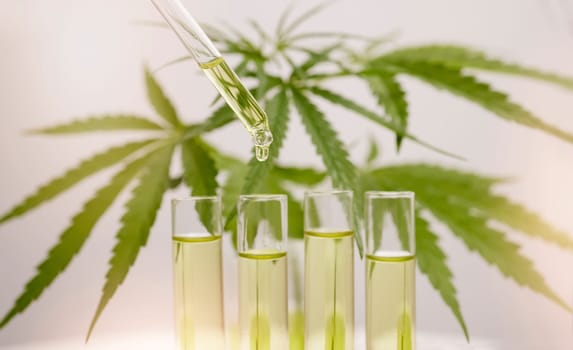Cannabis, oil and dropper into glass for marijuana liquid, herbal medicine, and legal weed plant production, pharmaceutical hemp and formula. Cbd oil, holistic health and herbal leaf drops in bottle