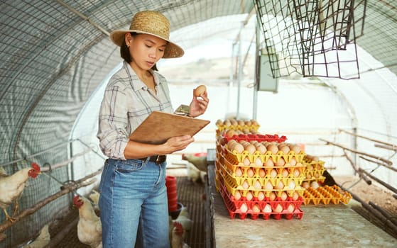 Woman, clipboard or chicken eggs on farm export sales, stock management or import order review. Asian farmer, poultry or bird product for sustainability agriculture paper or countryside dairy farming.