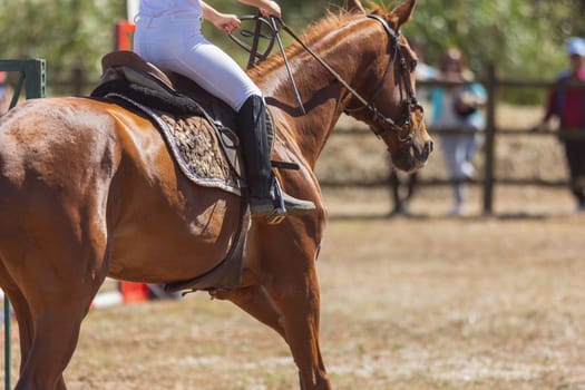 Equestrian sport - a person in uniform riding brown horse at the ranch