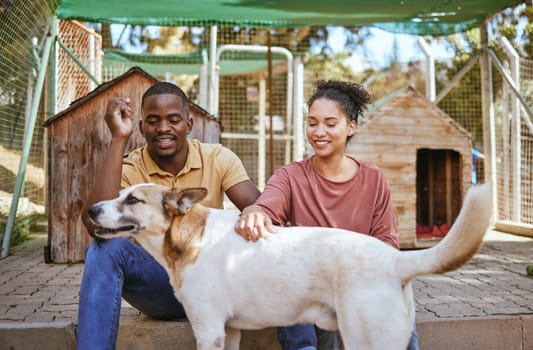 Animal shelter, adoption and dog with a black couple petting a canine at a rescue center as volunteer workers. Love, charity and community with a man and woman at a kennel to adopt or foster a pet