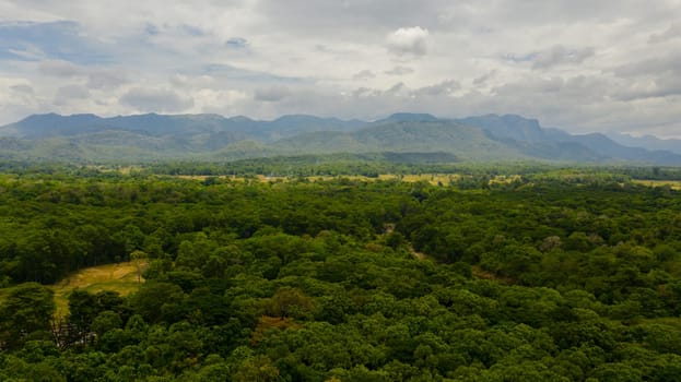 Mountains with green forests and agricultural land with farm plantations