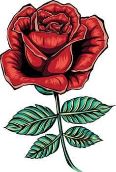 vector illustration of rose flower with leaves