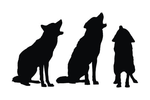 Wild wolves sitting and howling in different positions. Wolf full body silhouette collection. Carnivore wolves silhouette bundle. Dangerous wild animals like wolf, silhouettes on a white background.