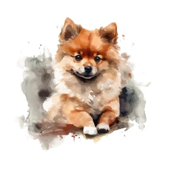 watercolor dog Spitz portrait element illustration.