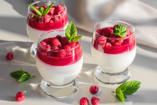Panna cotta with raspberry jelly and mint leaves in glass glasses on a white table