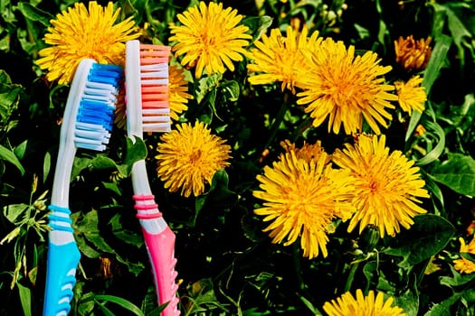 Two toothbrushes on a green and yellow dandelion carpet.