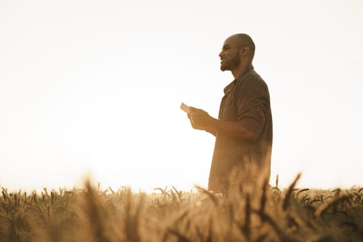 Man using smartphone while standing in wheat field at sunset