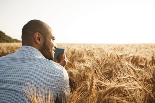Man using digital tablet in wheat field at sunset