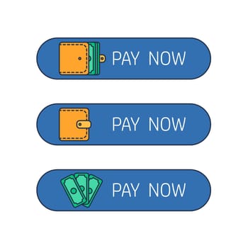 Web payment button