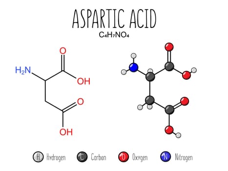 Aspsartic acid amino acid representation.