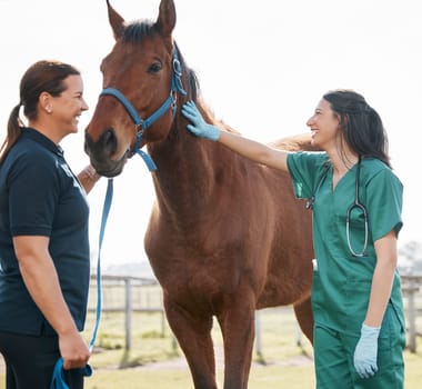 Woman, vet and check horse health on farm, veterinary medicine and care for sick animal. Agriculture, farming and medical expert working in animals healthcare, wellness or veterinarian for pets.