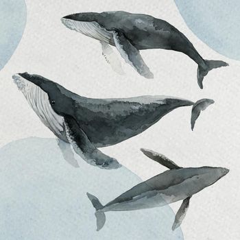 Humpback whale watercolor painting in watercolor banner vector