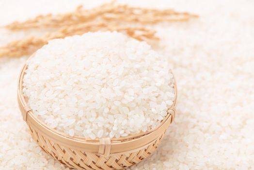 Raw white polished milled edible rice crop on white background in brown bowl, organic agriculture design concept. Staple food of Asia, close up.