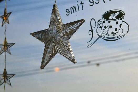 echinoderm,ornament,star,starfish
