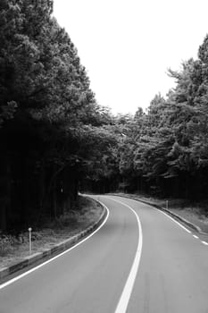 asphalt,road,thoroughfare,tree,path,infrastructure,lane,highway,black,nature,sky,white