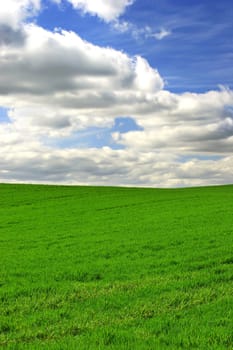 Grass, clouds and blue sky with landscape of field for farm mockup space, environment and ecology. Plant, nature and horizon with countryside meadow for spring, agriculture and sustainability.