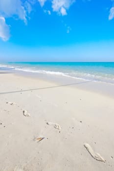Ocean, blue sky and landscape with beach sand and travel, waves and summer vacation outdoor in Hawaii. Environment, horizon and seaside location with tropical destination and journey on island