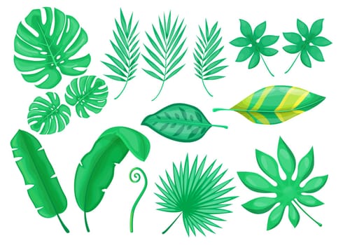 Green exotic foliage flat item set