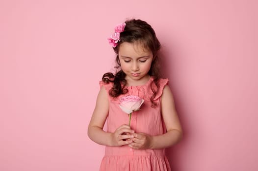 Beautiful lovely pretty cute child girl in stylish pink dress holding a rose flower, isolated over pink color background