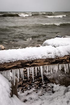 Log covered by snow and ice with waves coming in and ice on the shoreline in the Bruce Peninsula, Ontario
