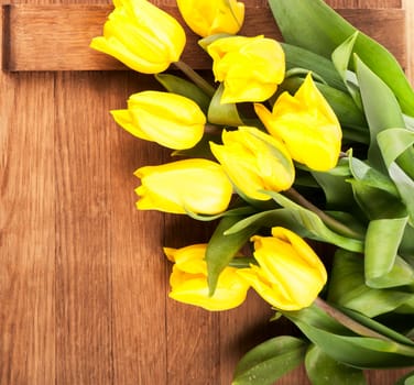 beautiful yellow tulips are located on a wooden background