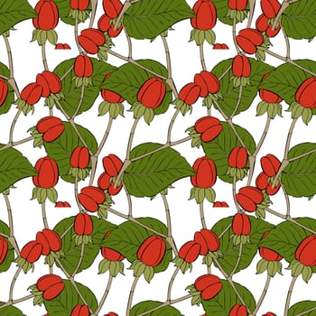 Hypericum androsaemum pattern hand drawn, with berry and leaf.