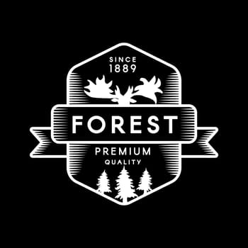 Mountain Camp Forest Travel Graphic Emblem Design