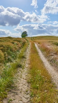 Dirt, path with countryside and travel, green and nature with direction, destination and open field. Blue sky, land and drive way with road through grass, journey and traveling view with environment