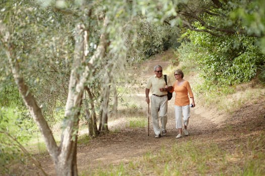 Hiking, nature and senior couple for fitness, walking stick and retirement exercise, wellness support or path in forest. Elderly people in woods for cardio, travel and health journey or trekking.