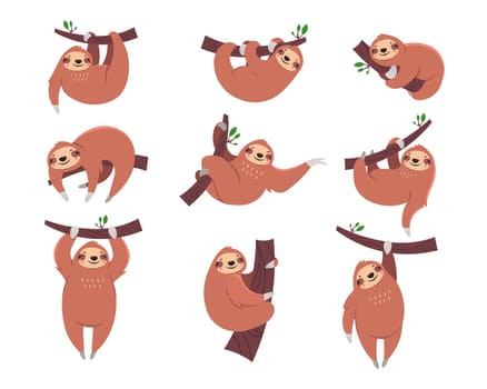 Cute sloth cartoon character flat vector illustrations set