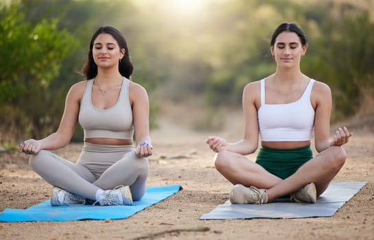 Yoga, meditation and peace with woman friends outdoor in nature, sitting on a mat for mental health or wellness. Fitness, forest or mindfulness with a young female yogi and friend meditating outside