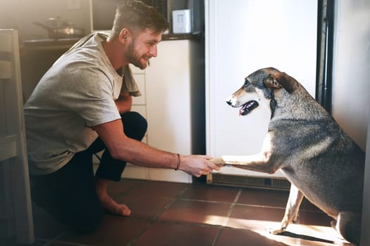 Thank you for everything human. a cheerful young man shaking his adorable dogs paw inside of the kitchen during the day.