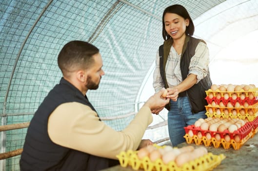 Egg farmer, food and couple at chicken farm checking health, production or growth of eggs. Poultry agriculture, sustainability or inspection of protein products with happy man and Asian woman in barn