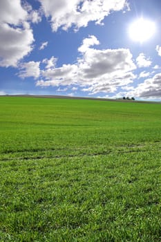 Environment, clouds and blue sky with landscape of field for farm mockup space, nature and ecology. Plant, grass and horizon with countryside meadow for spring, agriculture and sustainability.