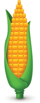 corn on white
