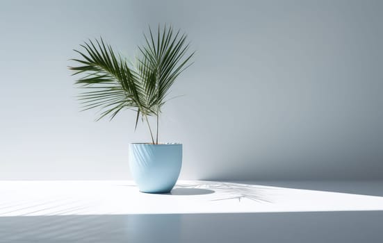 A light blue wall with shade and a plant in a vase on the floor. Background template for your product