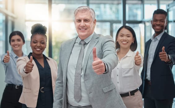 Business people, portrait and thumbs up for winning, agreement or corporate team success at the office. Happy group of employee workers with smile showing thumb emoji, yes sign or like for leadership