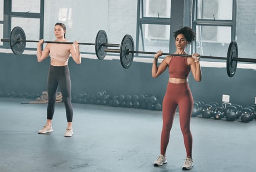 Gym, barbell workout and diversity women doing muscle fitness performance, exercise or body building. Strong girl, health lifestyle and strength training athlete, people or bodybuilder weightlifting.