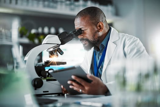 Black man scientist, microscope and plants in lab analysis, biodiversity study and vision for growth with tablet ux. Agriculture science, studying microbiome and laboratory research for future goal