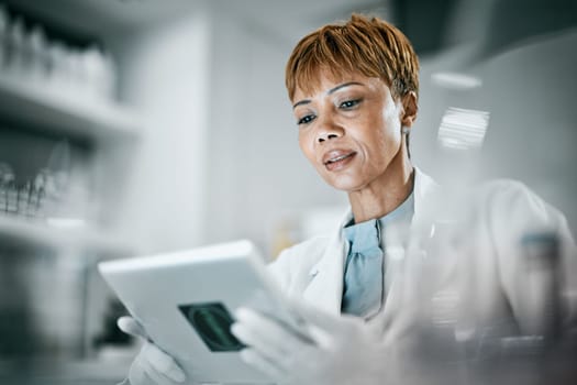 Science, laboratory and black woman with tablet for research, medical analysis and experiment results. Medicine, healthcare and scientist with digital tech for data analysis, lab study and innovation