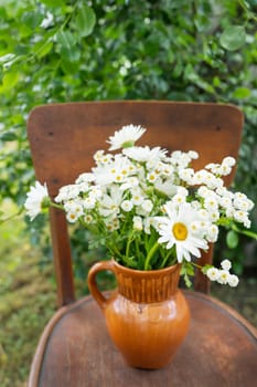 Beautiful chamomile flowers on a wooden rural chair against the backdrop of a green garden. Summer atmosphere, simple home decor in the countryside. Slow life, enjoy.